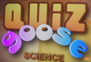 Quiz Goose Science